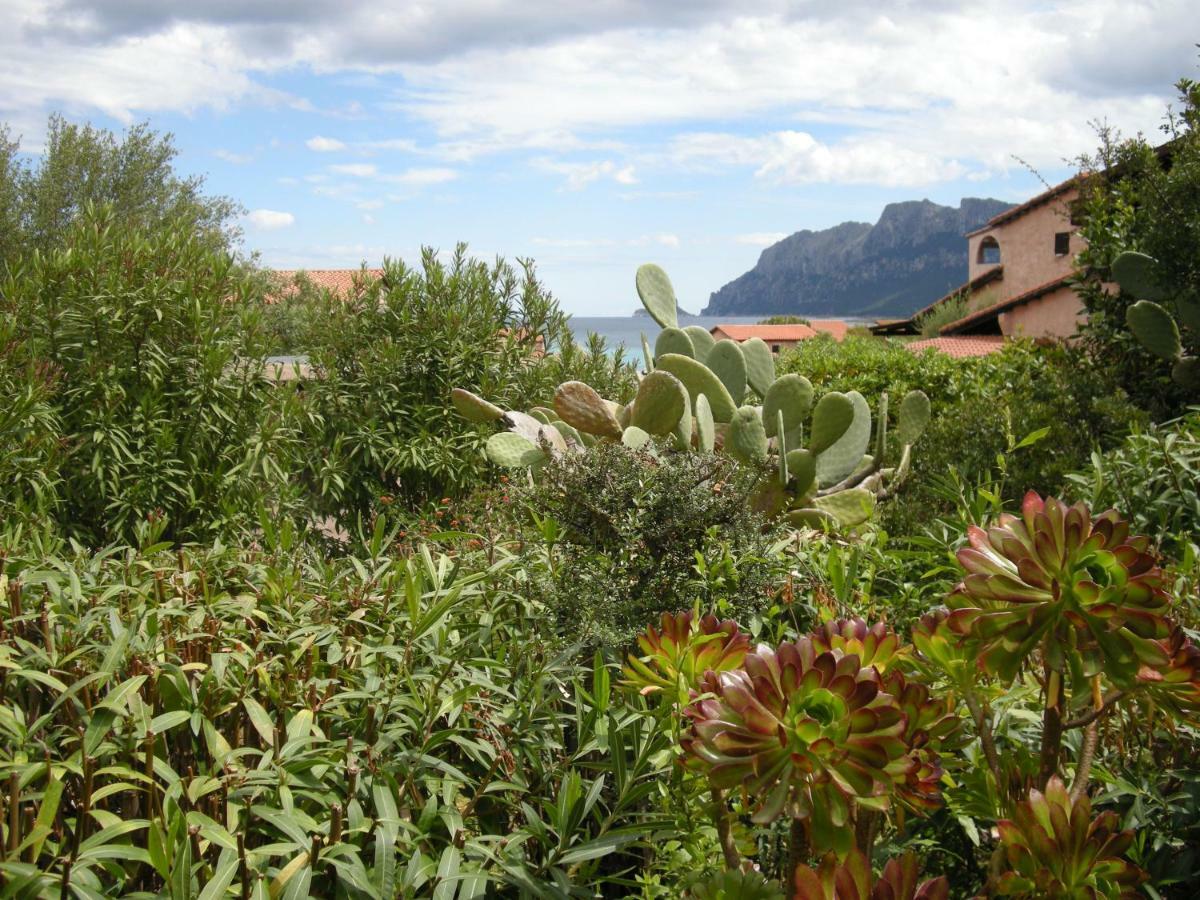 Casa Costa Corallina Mare Olbia Exterior foto